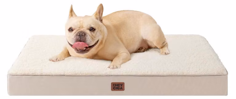 Cuccia ortopedica per cani, 76x51 cm, lavabile, in tessuto sherpa color cammello, antiscivolo