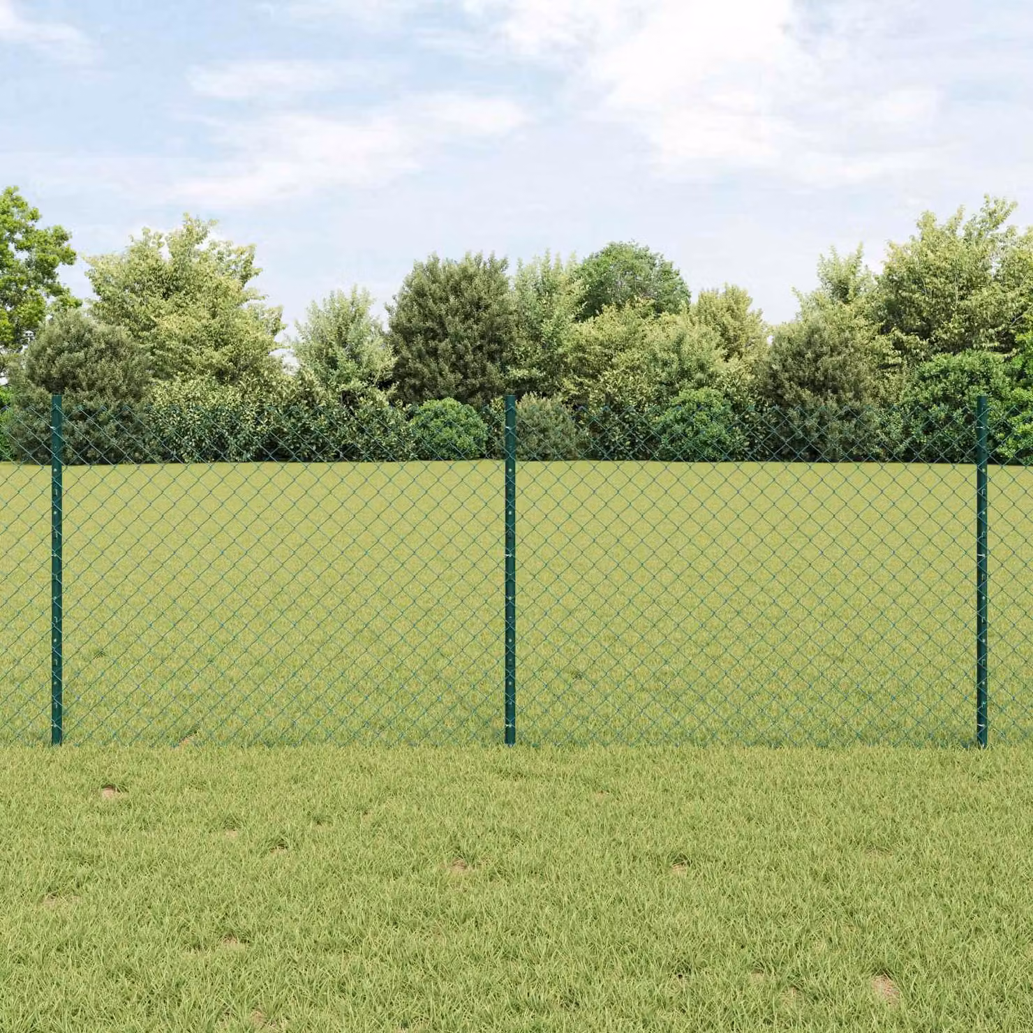 Maison Exclusive - Recinzione con Posto Verde 0,8 x 10 m Acciaio e PVC