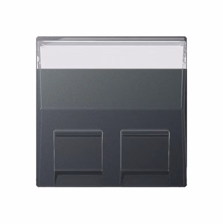 Jung A569-30BFPLANM Copertura con campo di scrittura 9 x 51 mm antracite opaco