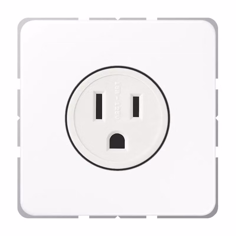 Jung CD521-15WW Presa standard USA NEMA bianco alpino