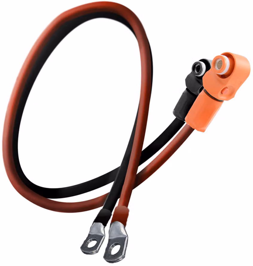 Set di cavi Liontron per LX48-100 Memoria 2x2 metri 25 mm²