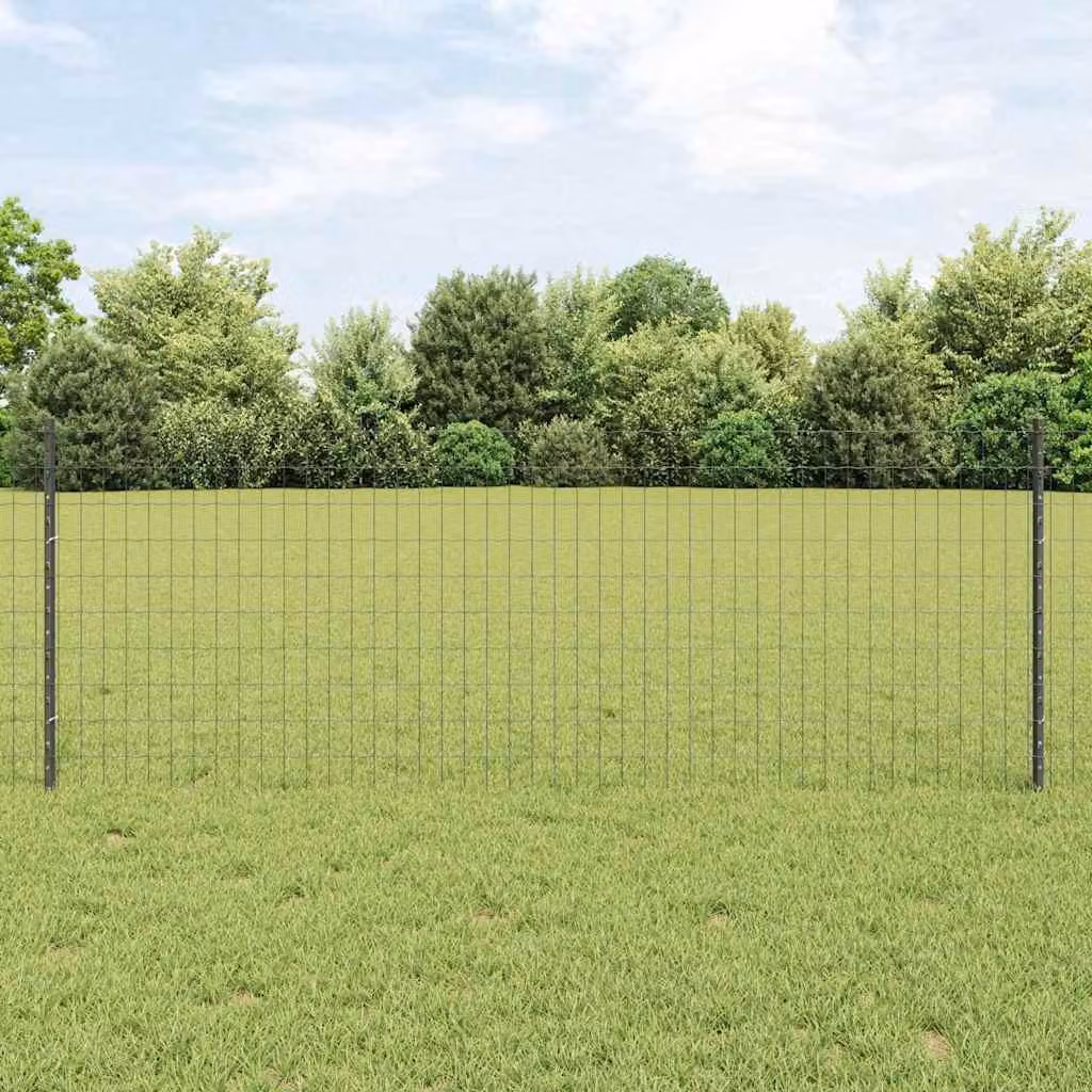 Maison Exclusive - Recinzione con Posto Grigio 0,8 x 10 m Acciaio e PVC
