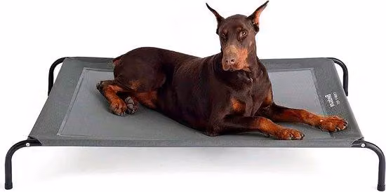Cuccia da esterno per cani di grossa taglia - grigia - per interni ed esterni - da campeggio - rialzata - taglia L - 124 x 90 cm - altezza 20 cm