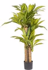 Pianta artificiale Dracaena verde Bizzotto Altezza: 130 cm