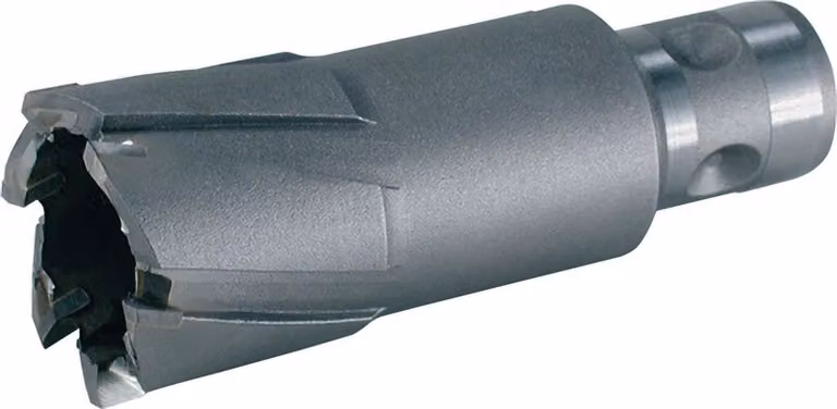 Carotatrice Ruko diametro 29 mm HM lunghezza 50 mm Quick IN - 1081129