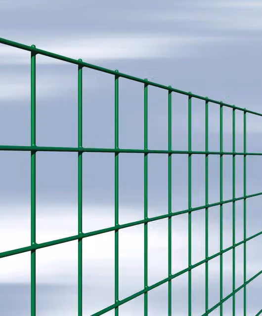 Rete Elettros Esaplax Plastic Cavatorta Verde Galvanizzata L: 50 cm, H: 75 cm, Lunghezza: 25 m, 1 Rotolo