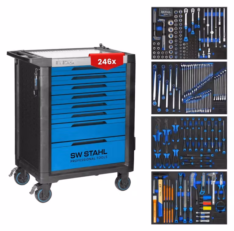 Carrello attrezzi da 246 pezzi - 8 cassetti - Acciaio inossidabile - Blu - Carrello per officina