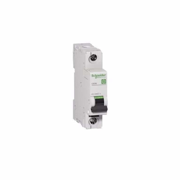 Interruttore LS Schneider Electric M9F11102