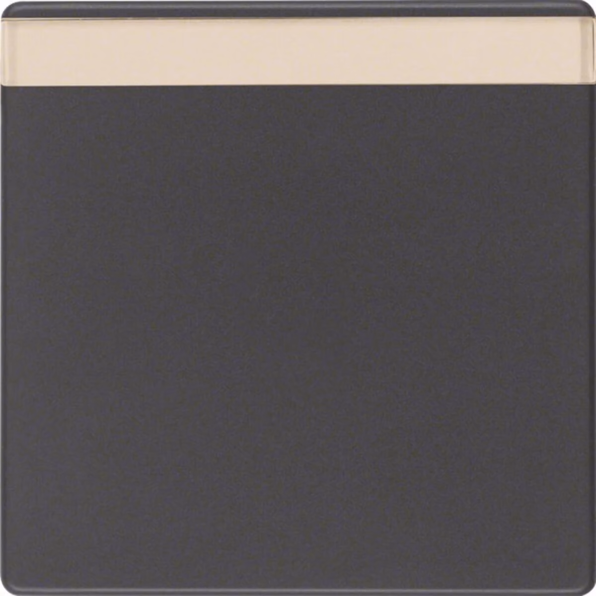 Berker 16266086 Rocker con campo di etichettatura antracite con Berker Q.1/Q.3