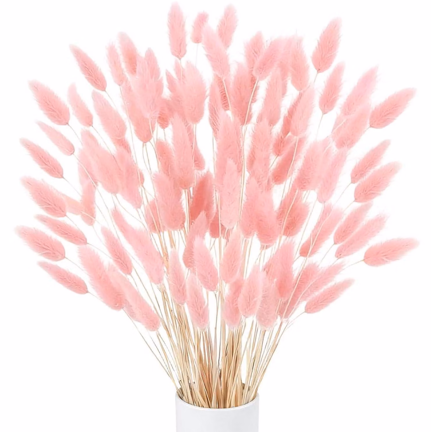 120 pezzi di pampas rosa essiccato, decorazione, altezza 30-43 cm