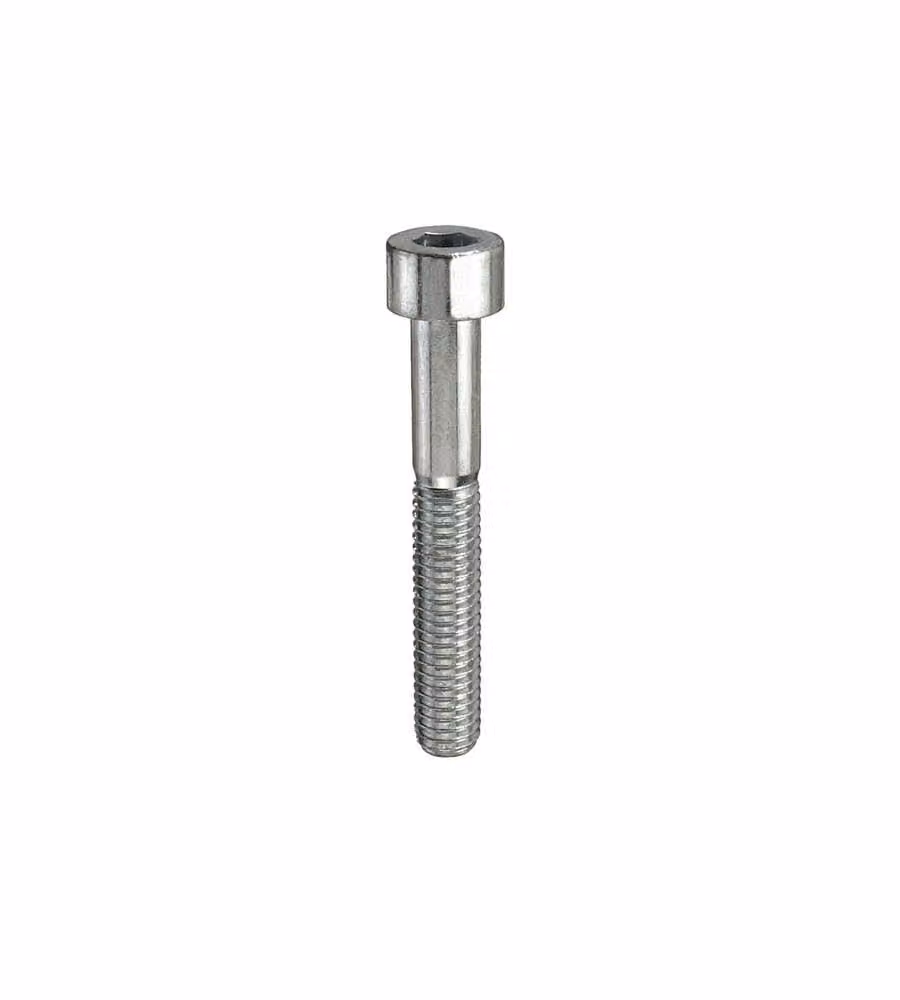Viti testa cilindrica esagono incassato M5 x 30 - 8 pz.