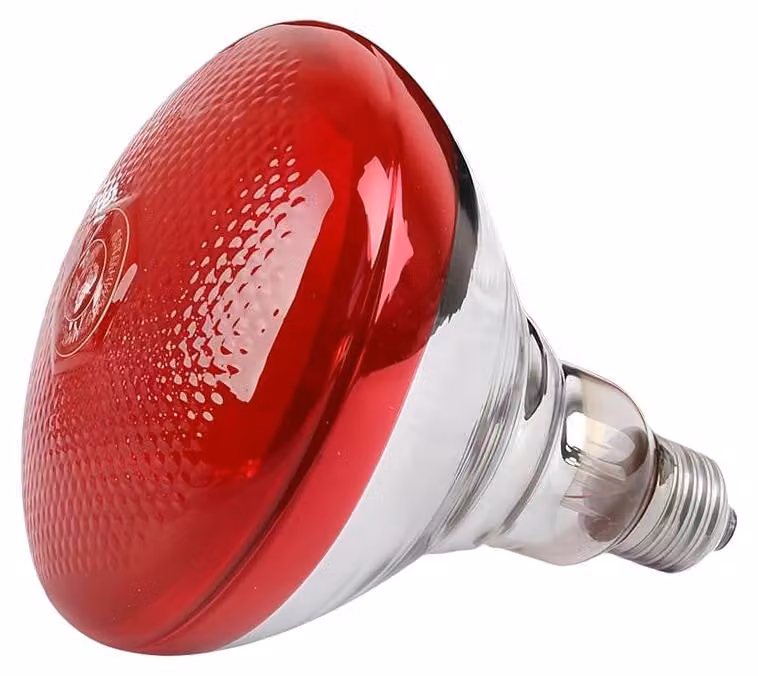Lampade a infrarossi, riscaldamento, 150 W, lampade riscaldanti per rettili
