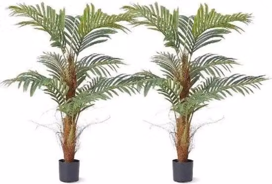 Pianta da Giardino senza Manutenzione - 120cm Altezza - Per Esterno e Interno