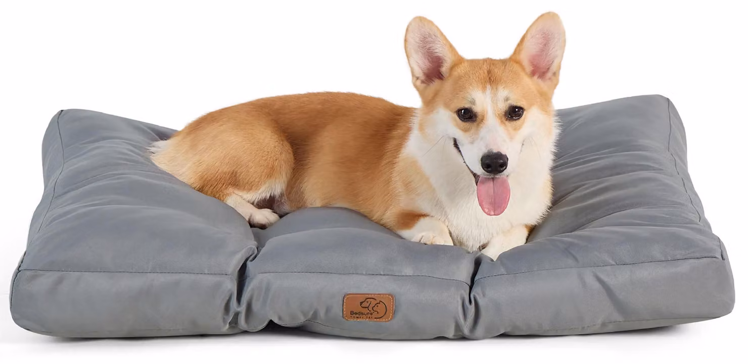 Cuccia lavabile per cani di piccola taglia, dimensioni 76x50x10 cm, resistente all'acqua