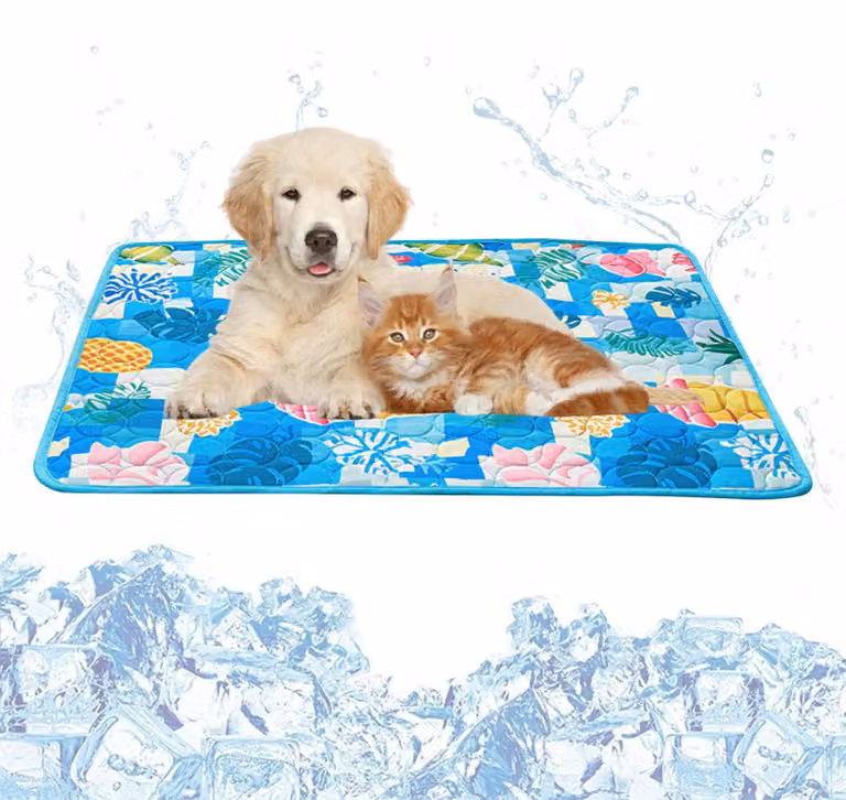 Cuccia rinfrescante per cani - Tappetino refrigerante per cani - Coperta refrigerante morbida - Resistente ai graffi - 60 x 50 cm - Blu