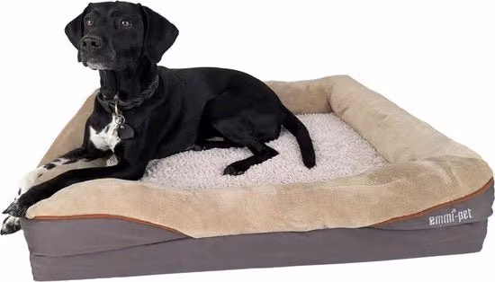 Letto ortopedico per cani Emmi-pet, divano in microfibra beige con fodera rimovibile e base antiscivolo, L 91 x P 68 x H 20 cm