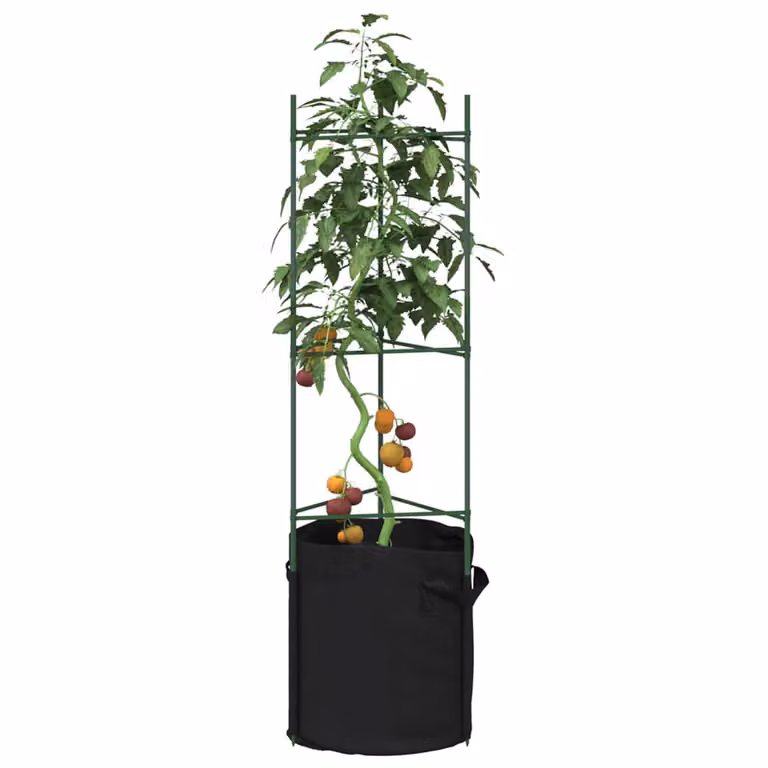 Set di 6 sostegni per pomodori vidaXL in acciaio e plastica, colore verde e nero, Altezza: 116 cm