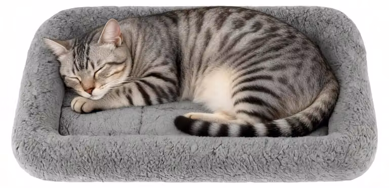 Omgoods: Cuccia ultra-morbida per cani e gatti, con base antiscivolo