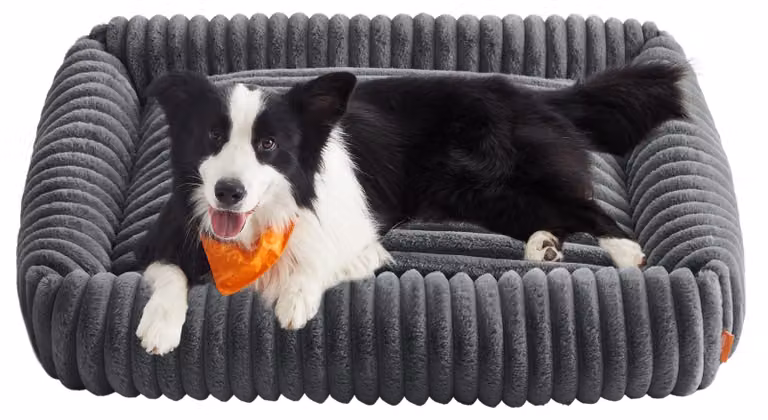 Cuccia ortopedica per cani - Morbida e confortevole - 106 x 75 x 20 cm