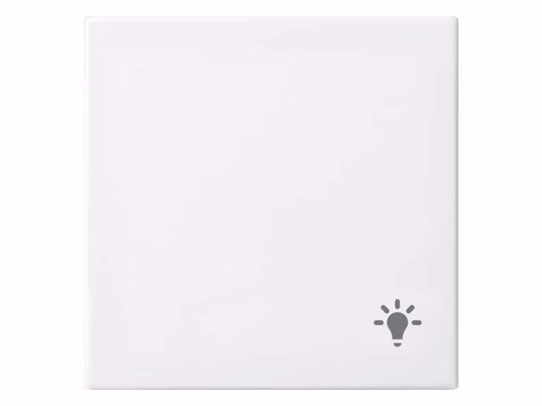 Busch-Jaeger 2520 LI-914 Bilanciere con impronta Light Balance SI bianco alpino