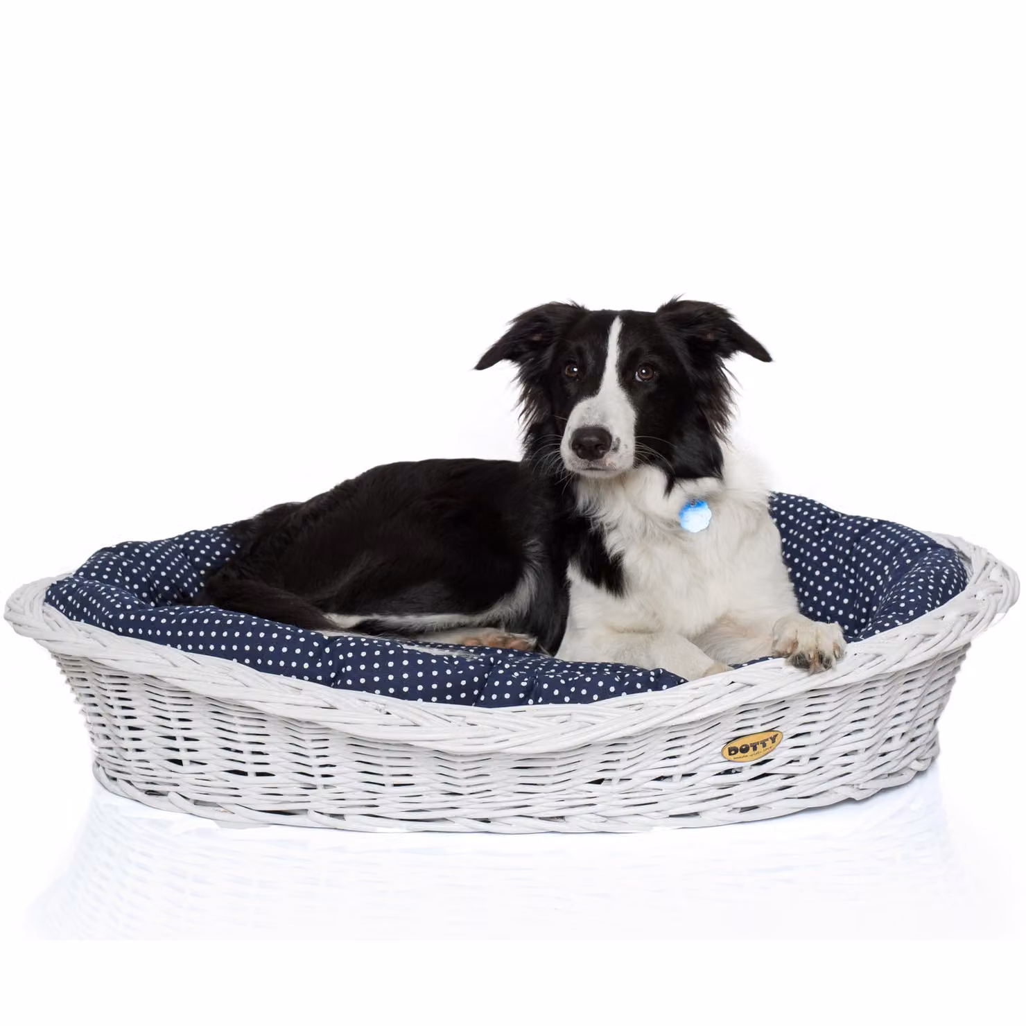 Cesto in vimini bianco sbiancato per cani Cesto Wiki con cuccia in cotone - Blu navy a pois bianchi - DOTTY
