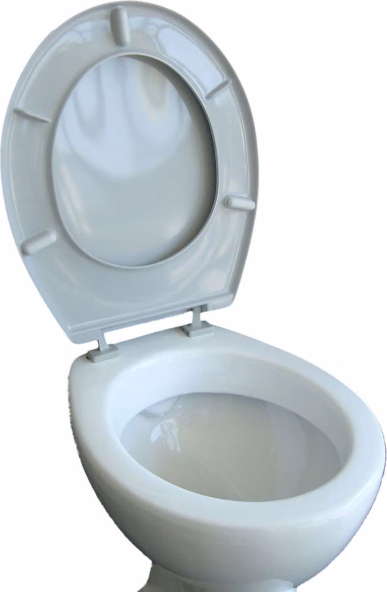 VCM Sedile WC Coperchio del sedile WC Coperchio del sedile WC Sedile WC Iseo Cerniere regolabili Grigio