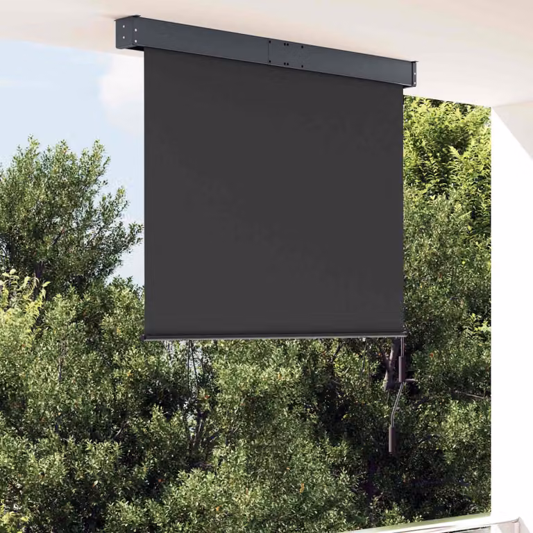 vidaXL Tenda a Rullo per Esterni 120x250 cm Antracite