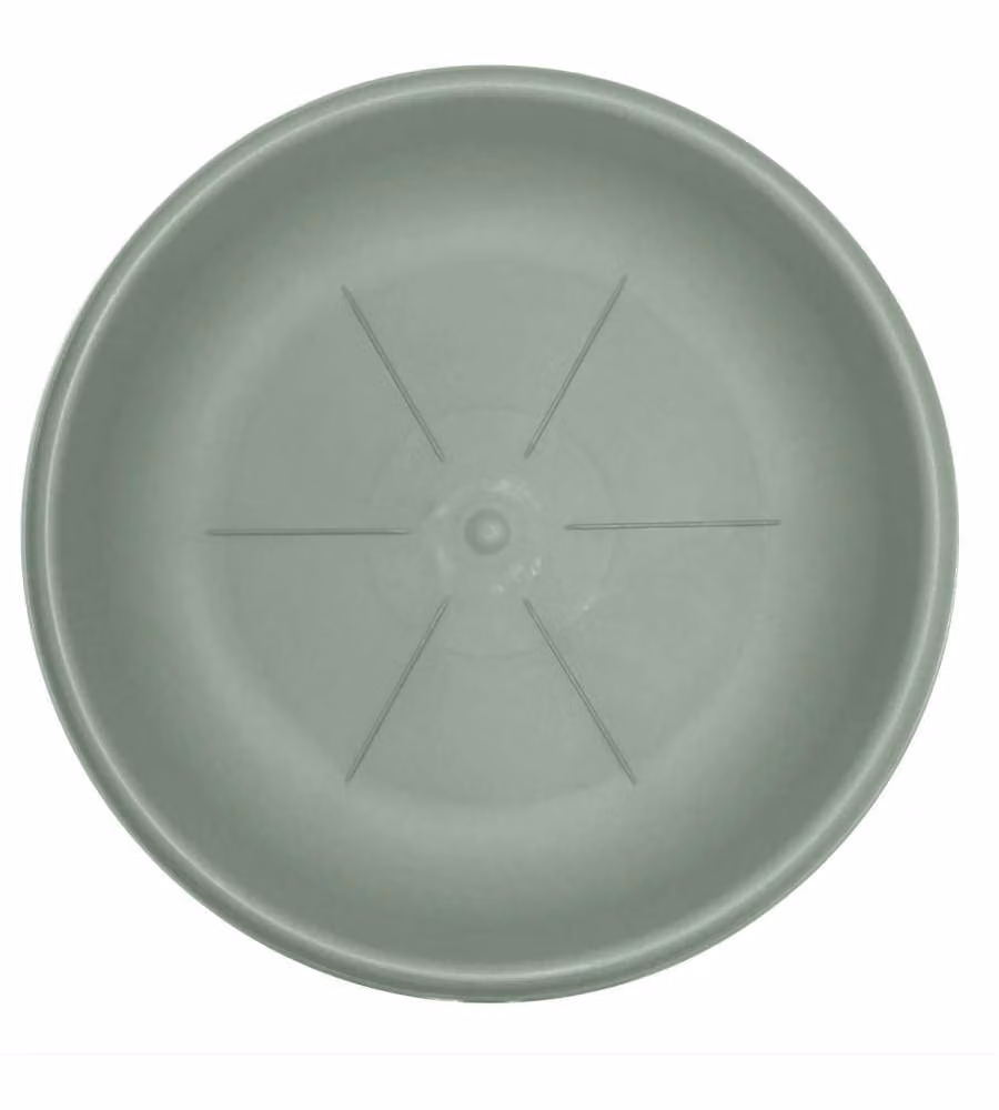 Bama Sottovaso rotondo plastica 16 cm salvia per vasi piante fiori
