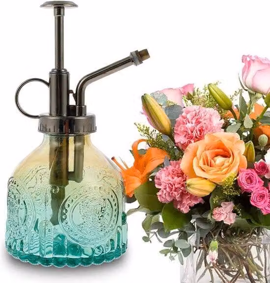 Pistola a spruzzo in vetro - 200 ml - Pompa per innaffiare vasi da fiori e piante aromatiche - Articoli per la casa e il giardino