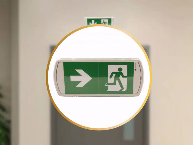 Lampada di emergenza a LED NEDES, 2W / 3 ore / IP65 - LEL103 - 26,9 cm