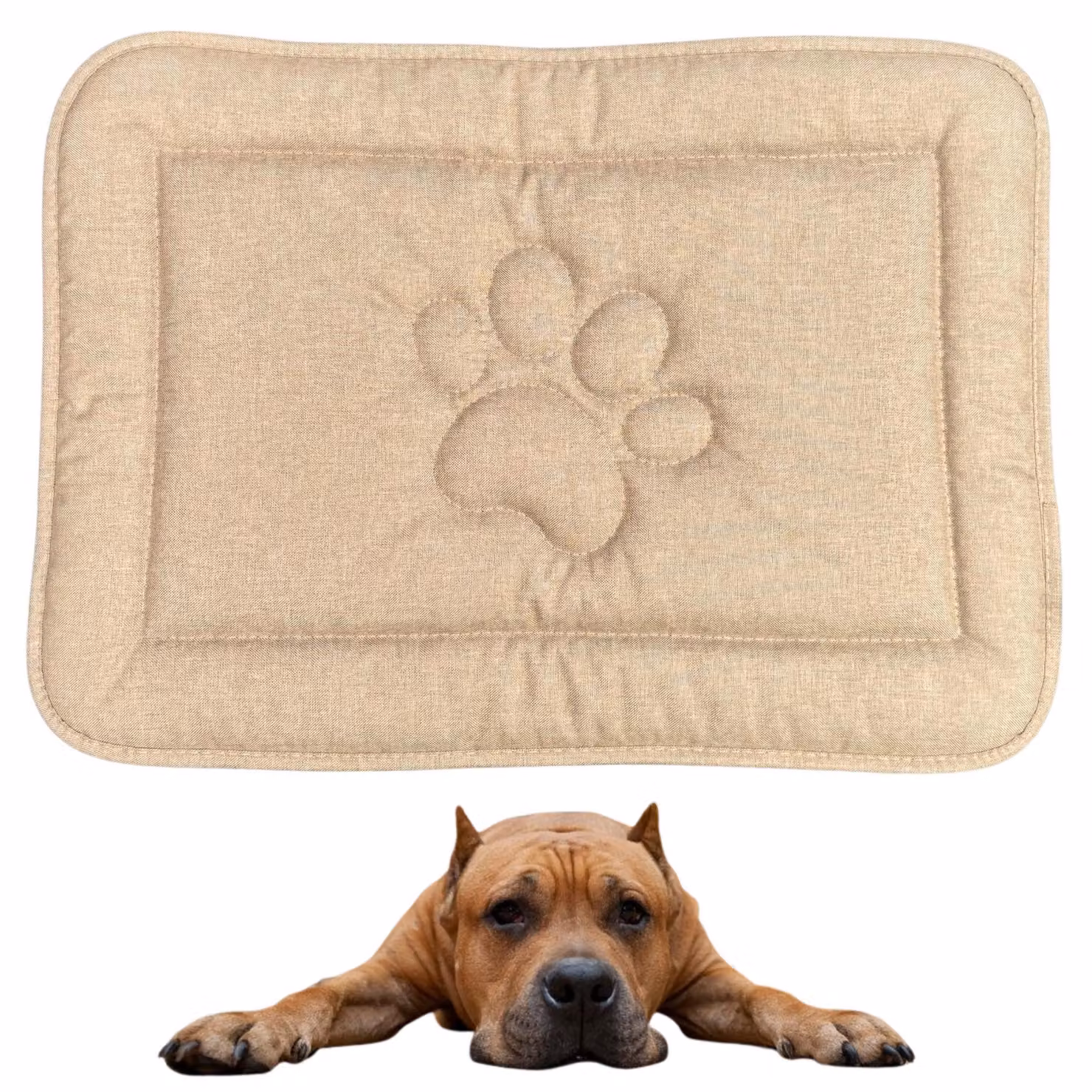 Tappeto per cani DOTTY con motivo a zampe - beige - misura L (88×60 cm) - cuccia lavabile e impermeabile - antiscivolo e resistente per cani di grossa taglia