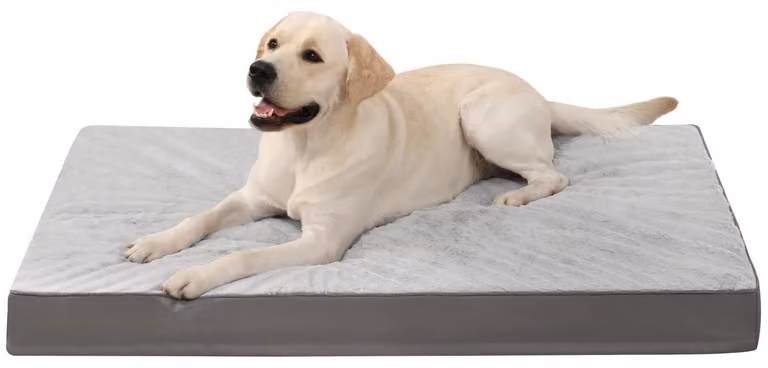 Cuccia ortopedica per cani, lavabile, taglia XL, 104x68 cm, grigia