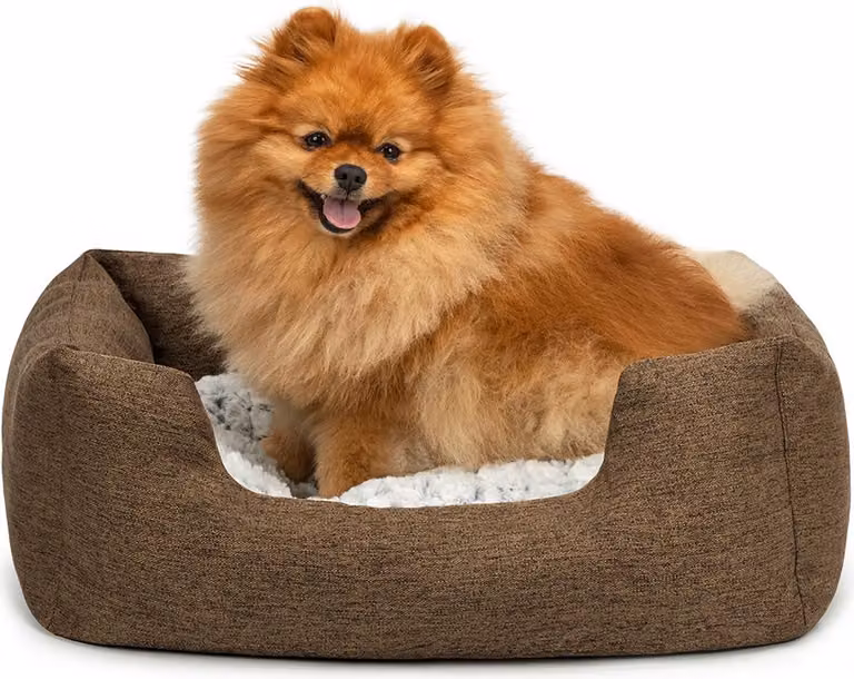lettino per cani lionto, accogliente letto per cani con cuscino reversibile e rimovibile, base antiscivolo, 60x50 cm, marrone