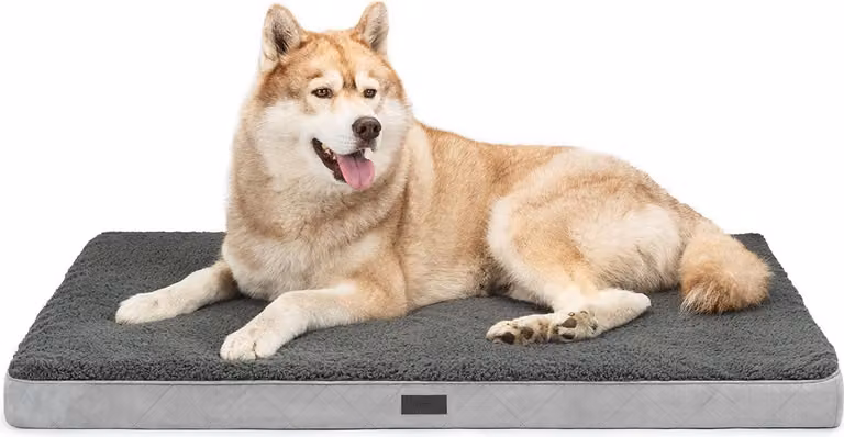 lettino per cani lionto, letto ortopedico con superficie in peluche e Similcuoio scamosciata, rivestimento sfoderabile e maniglia per il trasporto, 112x81x8 cm, grigio