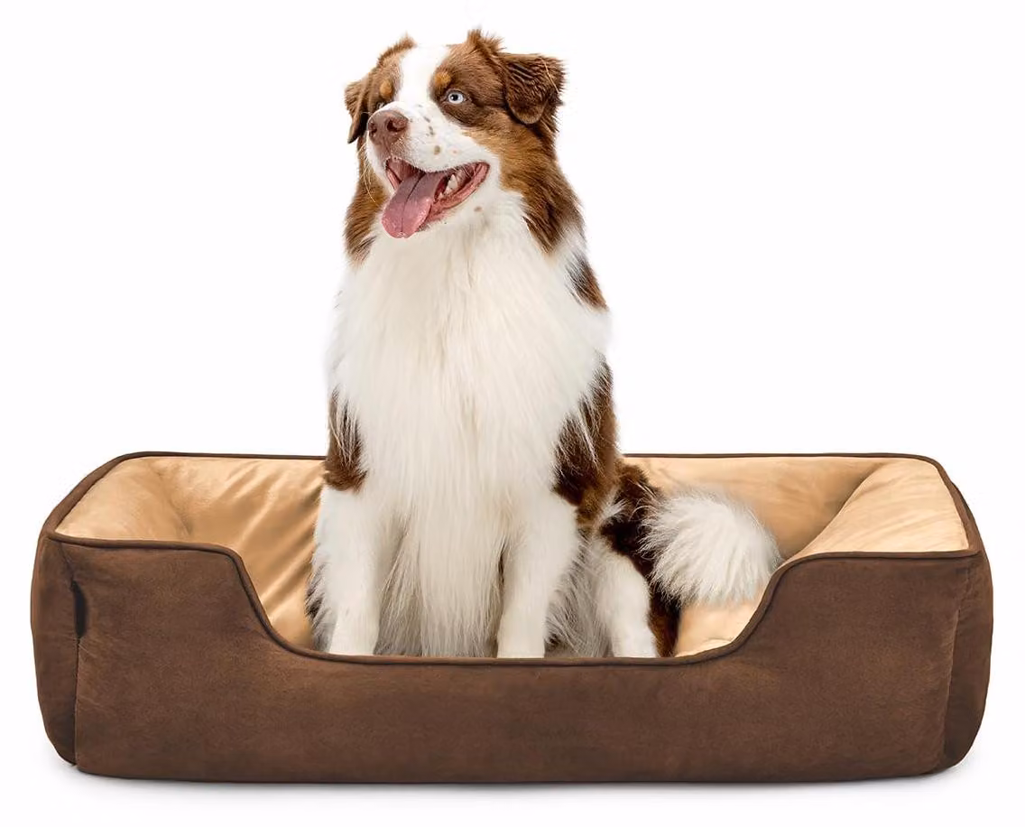 cuccia per cani lionto - cesto reversibile 2 in 1, morbidamente imbottito e di facile manutenzione, con ingresso basso, 110x80 cm, marrone/beige