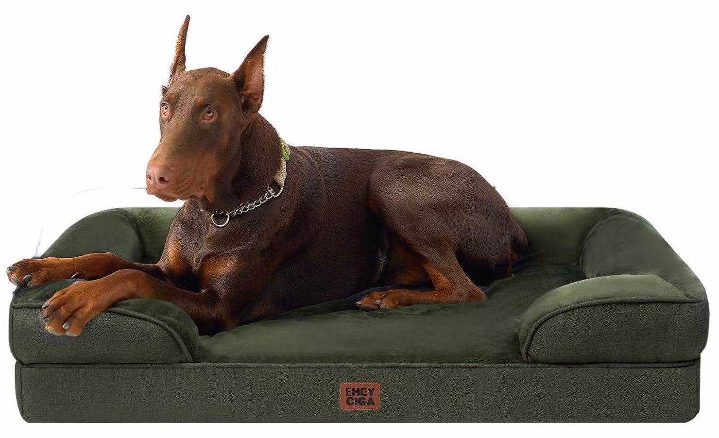 Cuccia ortopedica per cani, colore verde scuro, dimensioni 122x89x20 cm, con rivestimento removibile