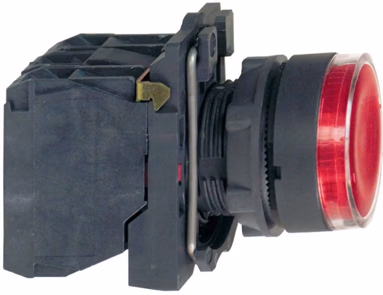 Pulsante illuminato Schneider Electric XB5AW34M5