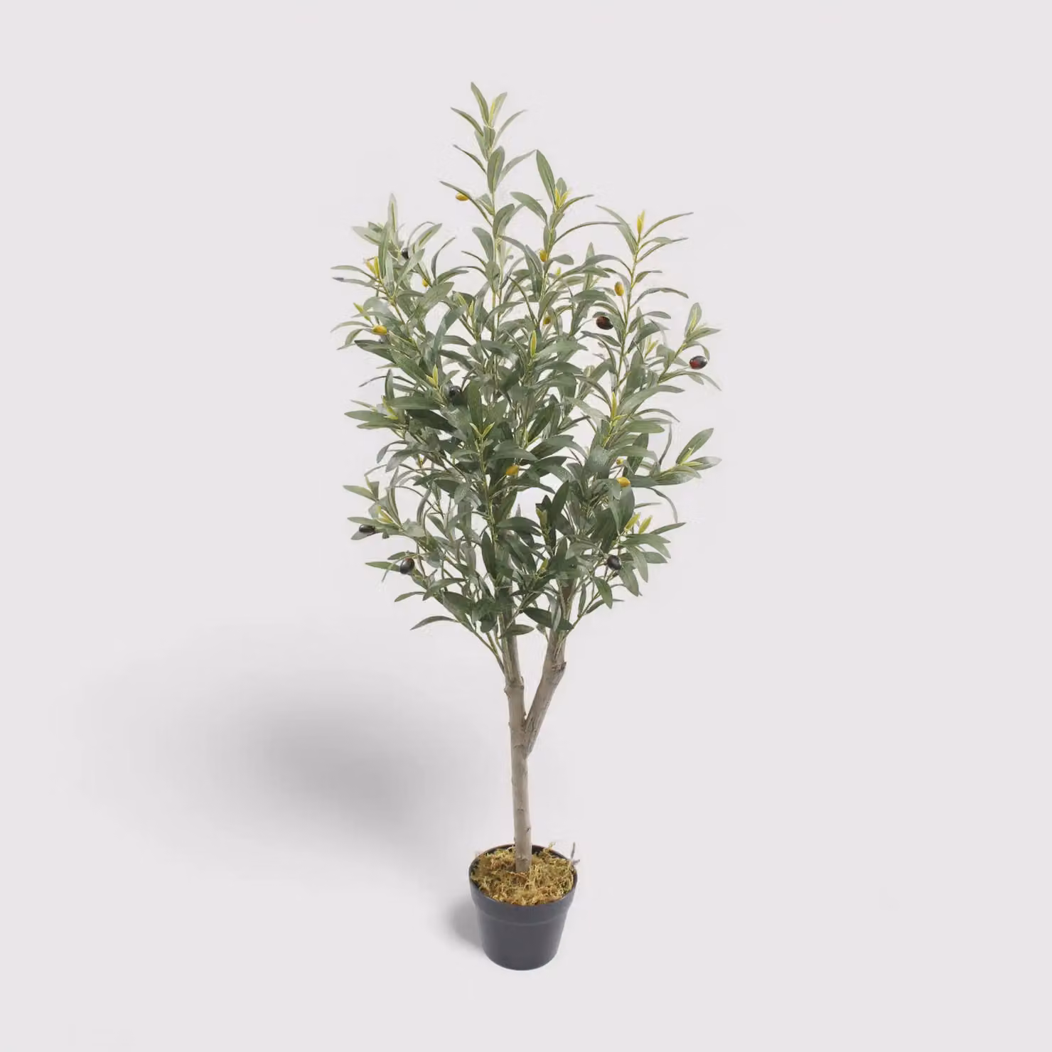 Thoka - Piccola pianta artificiale di ulivo con vaso H 120 cm