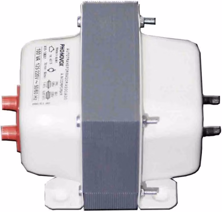 Autotrasformatore reversibile 1000va (700w) 125-220 v