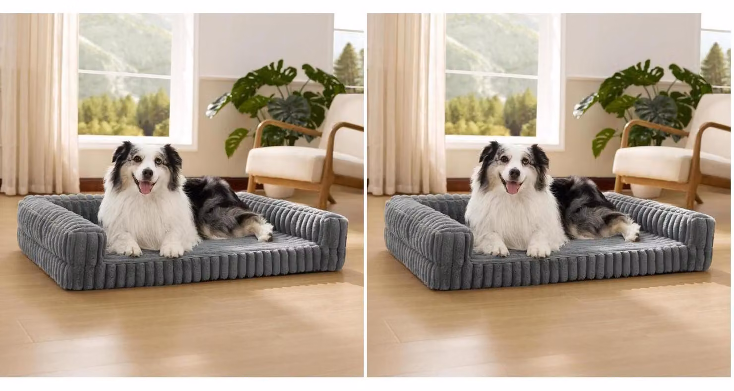 Cuccia ortopedica per cani, 106x76x18 cm, grigia, confezione da 2