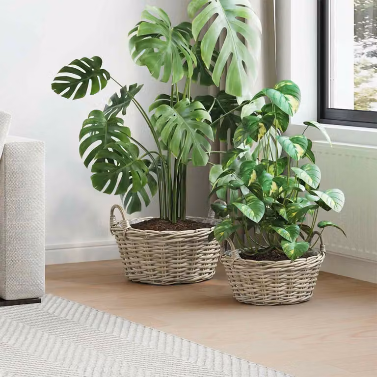 Set di 2 cesti per piante vidaXL GENDT in rattan Kubu color grigio naturale e beige