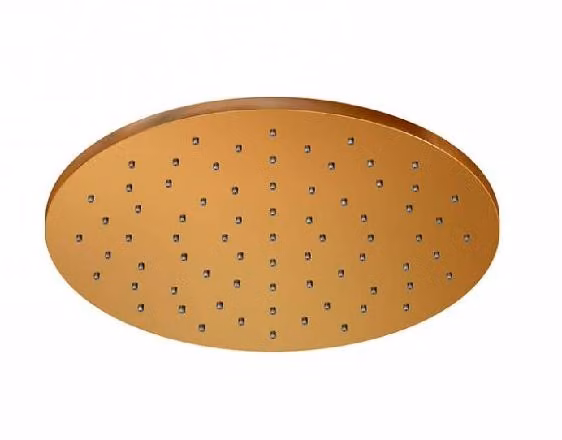 Steinberg Série 100 Douche de tête, douche de pluie, ronde, 250x8 mm, 1001686RG, 1001686RG