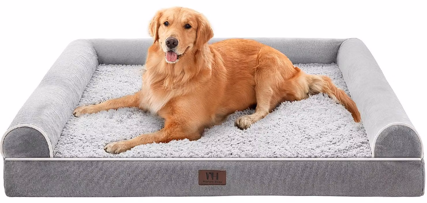 Letto ortopedico grande per cani, con bordo a forma di U e coperta rimovibile