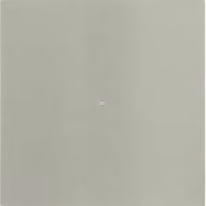 Berker 75161093 Sensore a pulsante singolo in acciaio inossidabile B.IQ