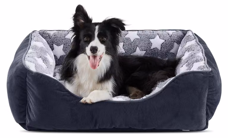 Cuccia per cani lavabile, con base antiscivolo e materasso morbido