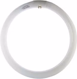 Confezione da 12 lampade fluorescenti Circolina G10Q da 40W, 3200LM, luce bianca fredda 4200K