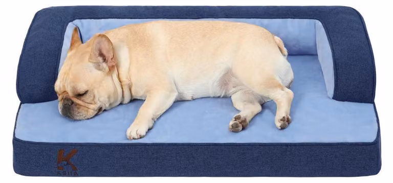 Cuccia ortopedica per cani, colore blu, dimensioni 88x55x15 cm. Imbottitura removibile e lavabile