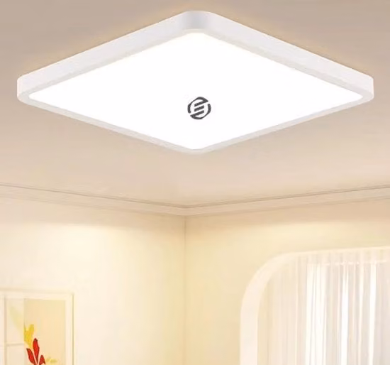 Plafoniera LED Muyuua bianca per soffitto, design moderno in plastica con luce bianca fredda