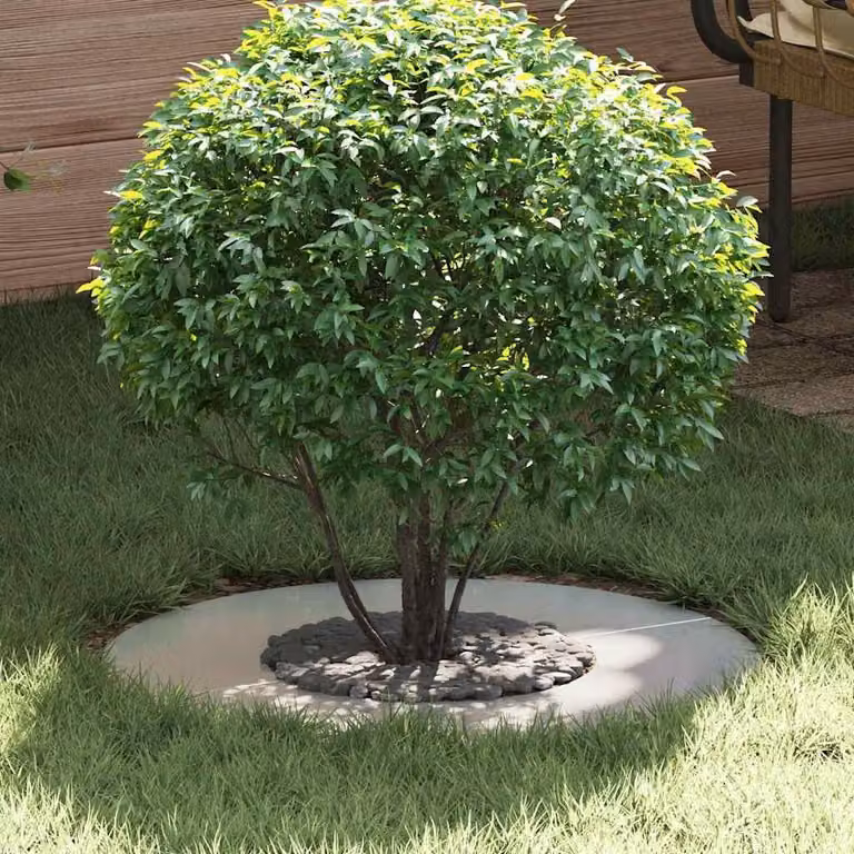 adatto per Anello d'Albero Piatto Argento Ø30 / 60 cm