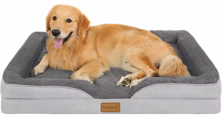 Cuccia ortopedica per cani, dimensioni 111x80x17 cm, lavabile, con imbottitura in schiuma a forma di uovo e bordo rialzato, ideale per cani di grossa taglia (XL)